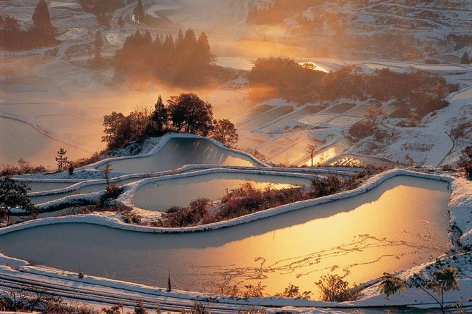Niigata Full-Day Private Tour With Government-Licensed Guide - Reviews and Pricing