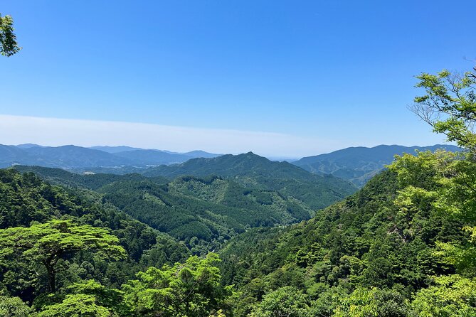 Explore Holy Mt Horaiji Private Tour - Pricing Details