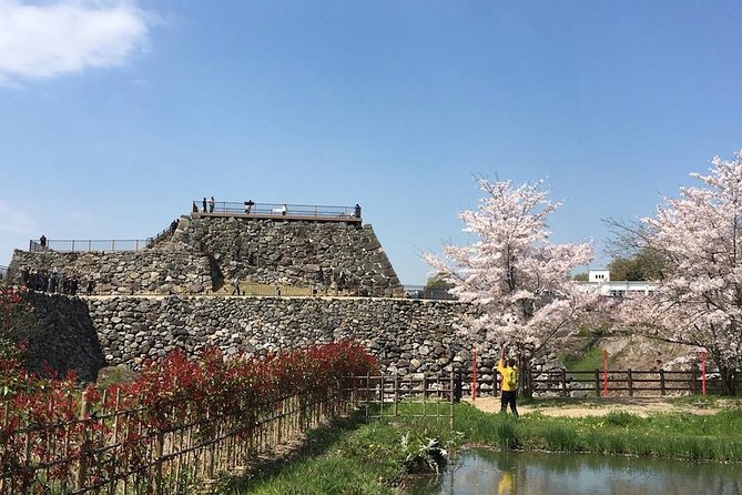Yamato-Koriyama Castle and Goldfish Small-Group Tour From Nara - Reviews and Testimonials
