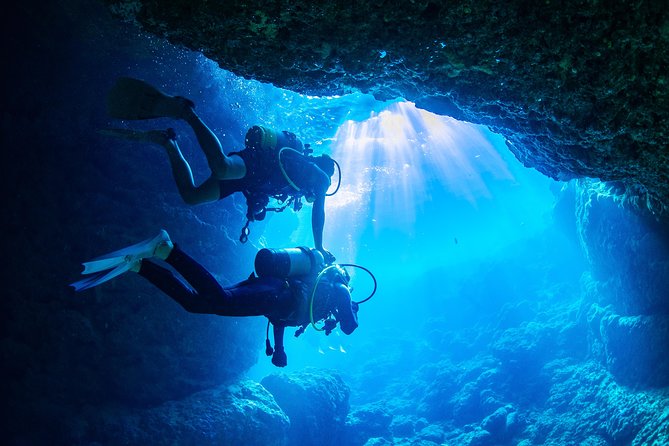 Blue Cave Experience Diving [Charter System / Boat Holding] I Am Very Satisfied With the Beautiful - Charter System Details