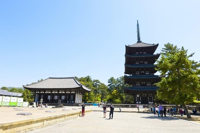 Nara Private Tour by Public Transportation From Kyoto - Visiting Nara Attractions