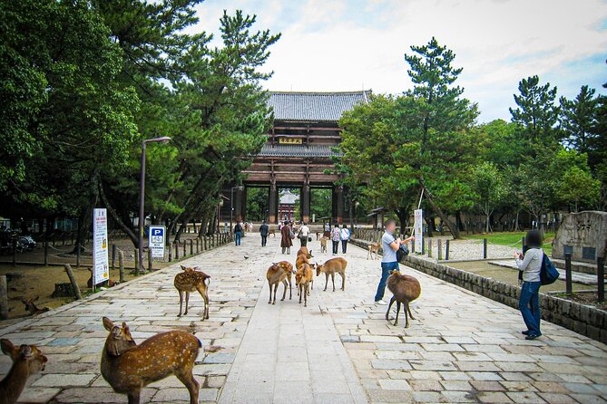 Nara World Heritage Todaiji Visit and Naramachi Tour - Location and End Point Details