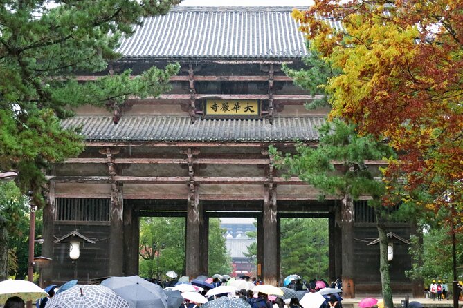 Nara World Heritage Todaiji Visit and Naramachi Tour - Pricing Information and Terms