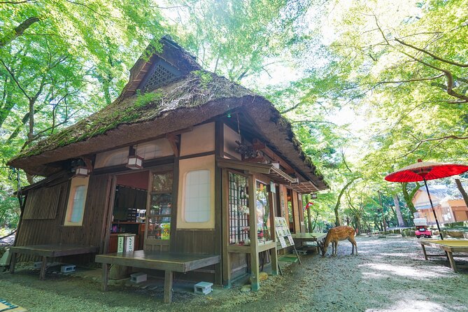 Nara Half Day Trip Walking Tour - Tour Route
