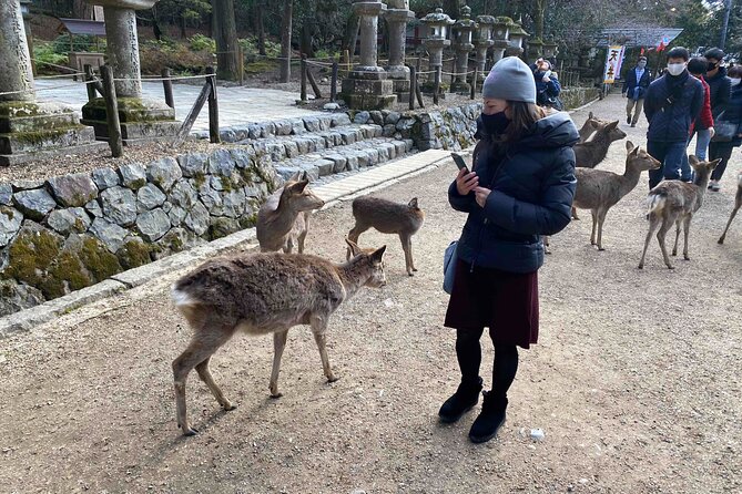 Nara Full-Day Private Tour - Kyoto Dep. With Licensed Guide - Meeting and Pickup Details