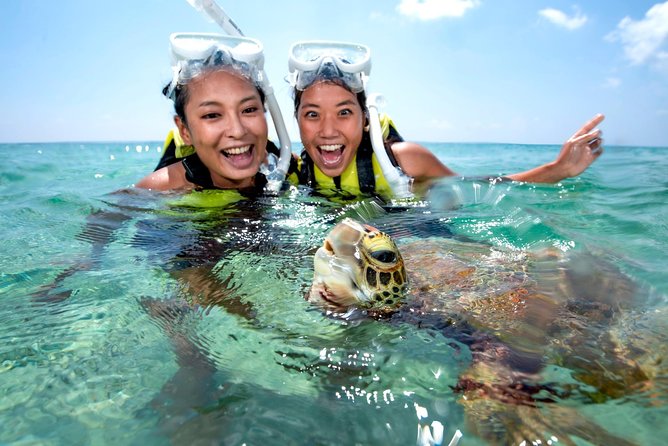 Miyakojima / Snorkel Tour to Swim With Sea Turtles - Cancellation Policy