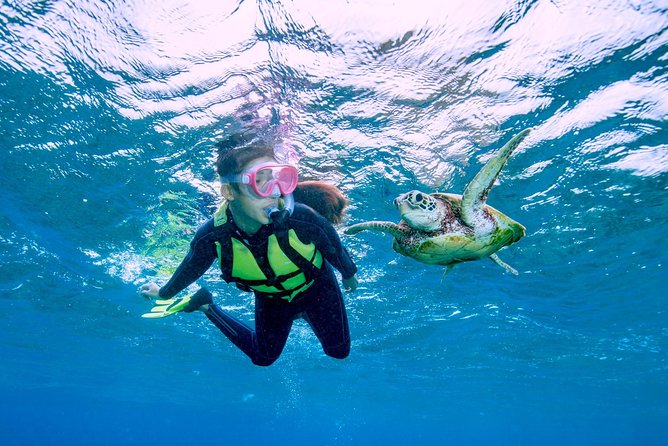 Miyakojima / Snorkel Tour to Swim With Sea Turtles - Additional Information