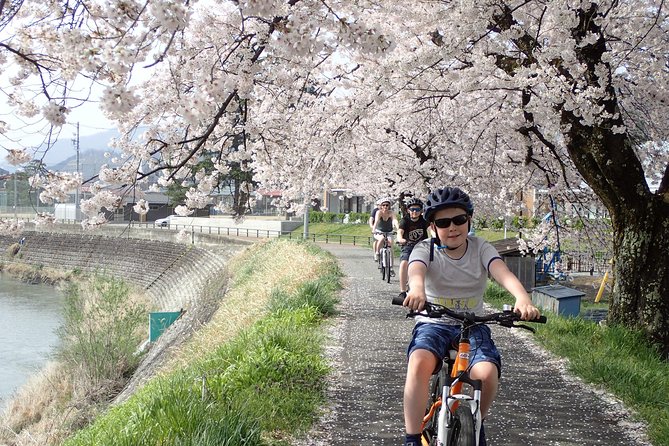 Private Afternoon Cycling Tour in Hida-Furukawa - Reviews and Ratings