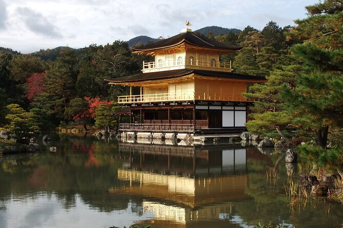Private 6-Day Japan Exclusive Tour - Booking and Contact Details
