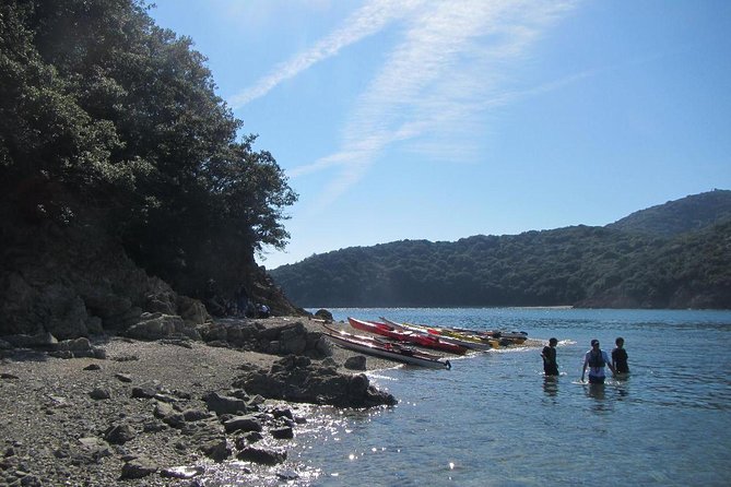 Fukuyama, Hiroshima Full-Day Sea Kayaking Tour Including Lunch (Mar ) - Frequently Asked Questions