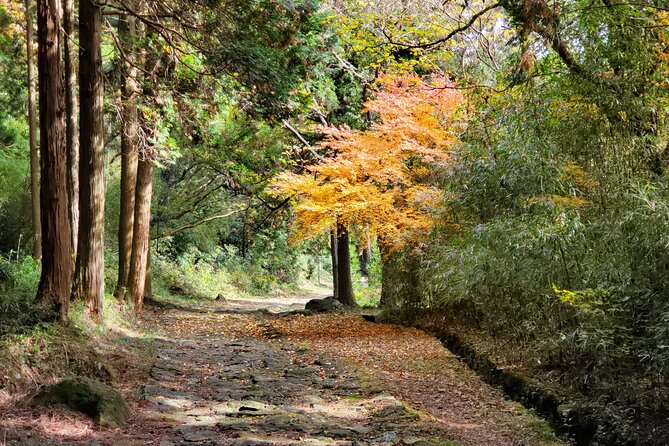 Walking Through the Aso Caldera, Historical Walk Along the "Bungo Kaido" - Pricing Information