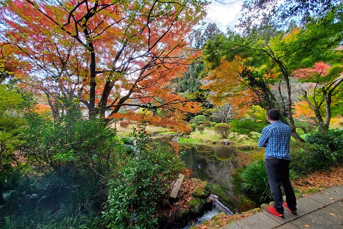 Walking Through the Aso Caldera, Historical Walk Along the "Bungo Kaido" - Tour Details