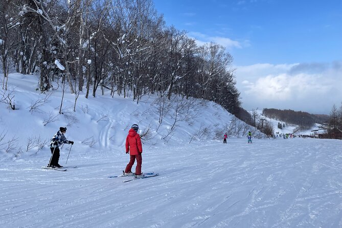Sapporo Private Ski/ Snowboard Lesson With Pick-Up Service - Just The Basics