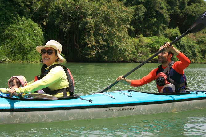 Kayak Mangroves or Coral Reef: Private Tour in North Okinawa - Key Tour Information Highlights
