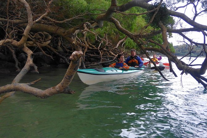 Kayak Mangroves or Coral Reef: Private Tour in North Okinawa - Final Words