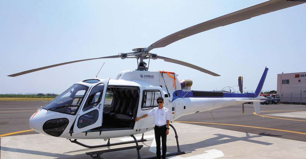 Helicopter Shuttle Service Between Narita and Tokyo - Experience and Benefits