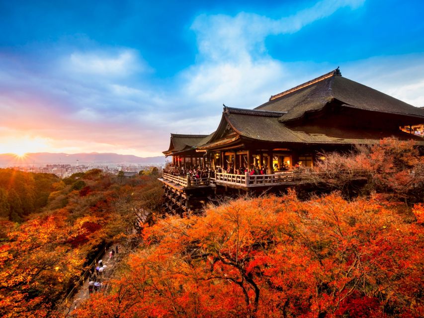 From Osaka: Kyoto Sightseeing Tour With Scenic Train Ride - Customer Reviews and Ratings