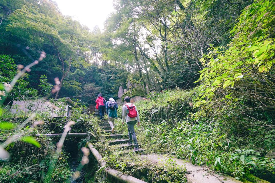 Kyoto: 3-Hour Fushimi Inari Shrine Hidden Hiking Tour - Highlights of the Hiking Tour