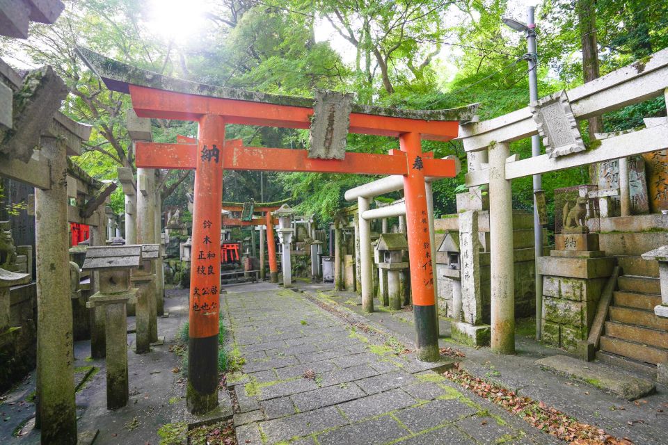 Kyoto: 3-Hour Fushimi Inari Shrine Hidden Hiking Tour - Review Summary and Feedback
