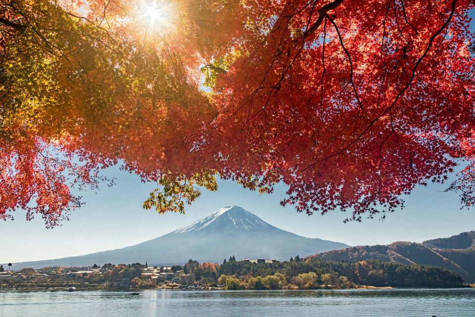 From Tokyo: Hakone, Owakudani, & Lake Kawaguchi Day Tour - Final Words