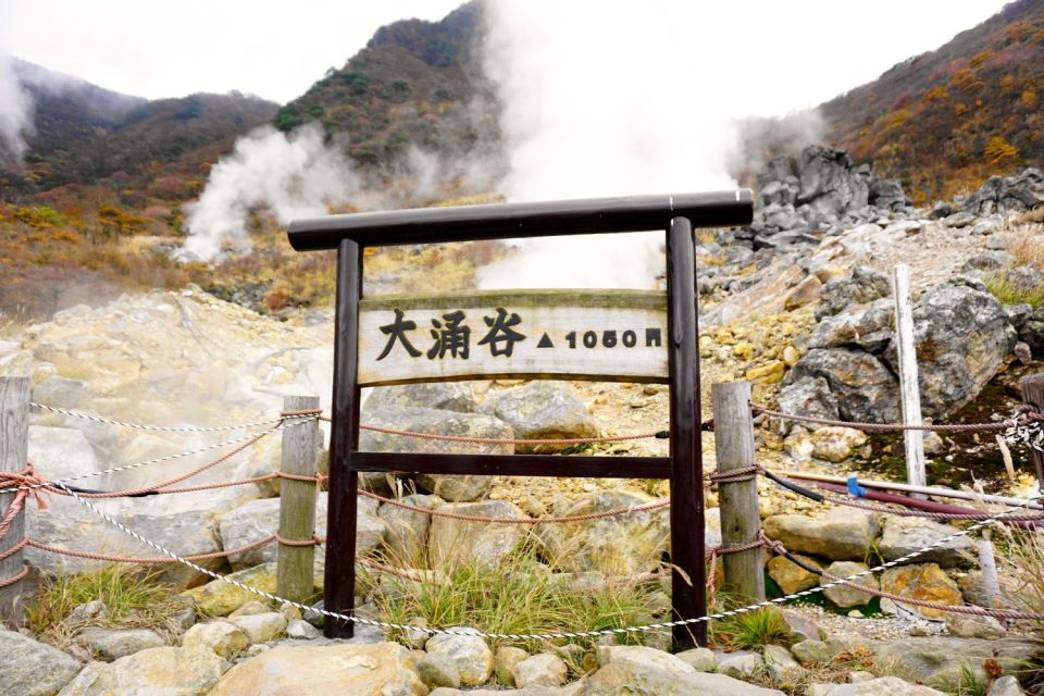 From Tokyo: Hakone, Owakudani, & Lake Kawaguchi Day Tour - Frequently Asked Questions