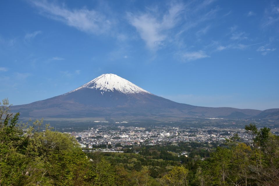 From Tokyo: 1 Day (SIC) Mount Fuji Gotemba Premium Outlet - Booking Information