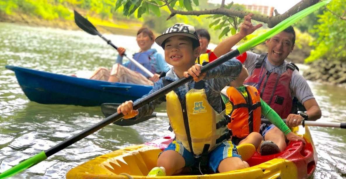 Okinawa: Mangrove Kayaking Tour - Just The Basics