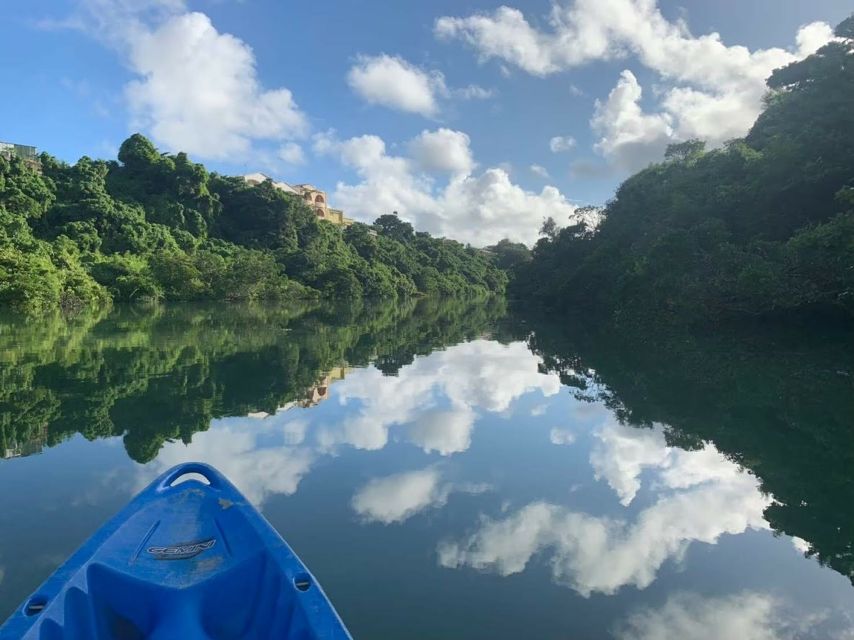 Okinawa: Mangrove Kayaking Tour - Experience Highlights