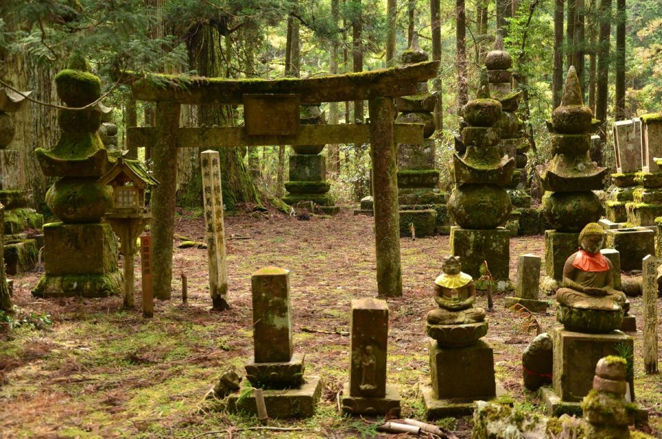 Wakayama: Mt. Koya Private Walking Tour With Local Guide - Frequently Asked Questions