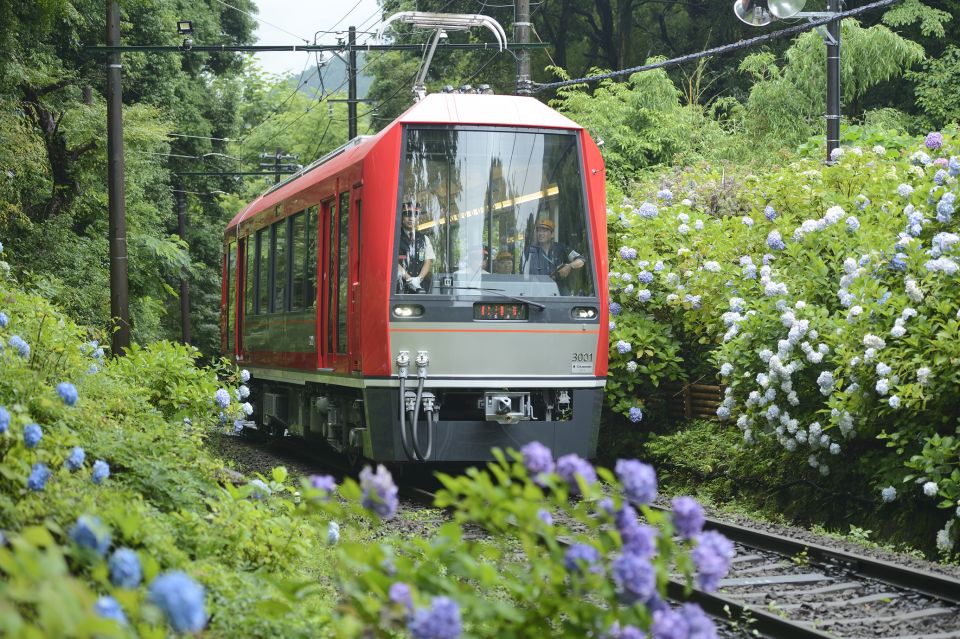 Hakone and Kamakura: 3-day Rail Pass - Pass Benefits