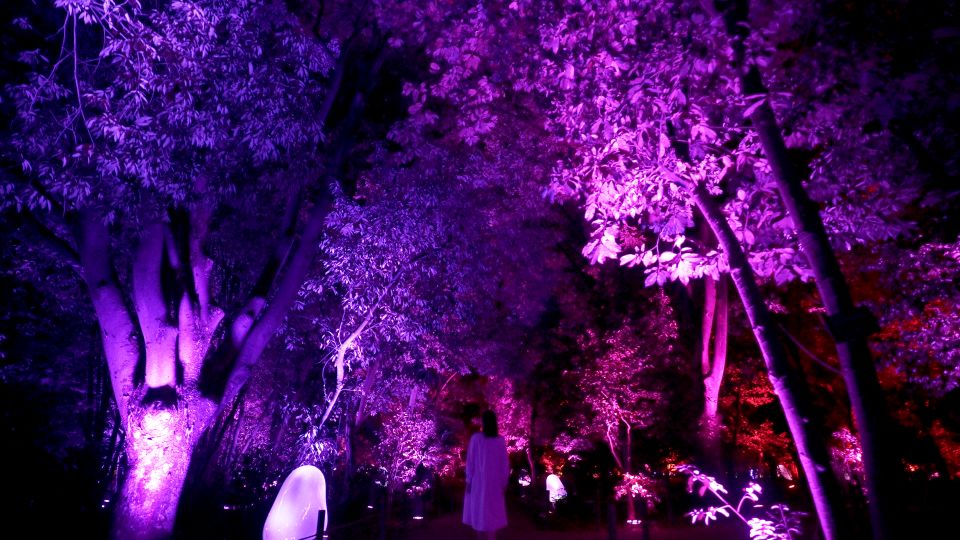 Osaka: Teamlab Botanical Garden Entry Ticket - Frequently Asked Questions