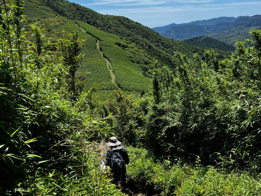Hakone: Traverse the Hakone Caldera and Enjoy Onsen - Preparing for the Hike