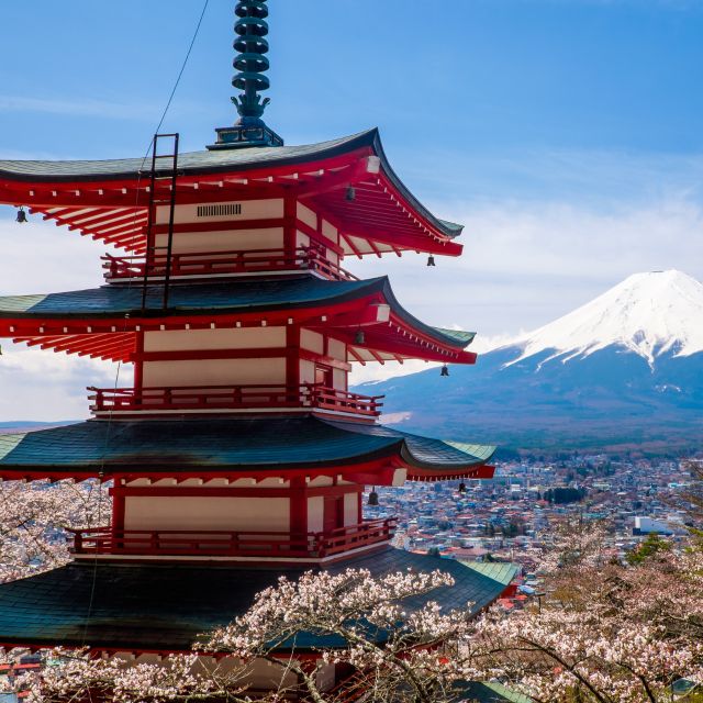 From Tokyo: Mount Fuji and Hakone Private Day Trip - Just The Basics