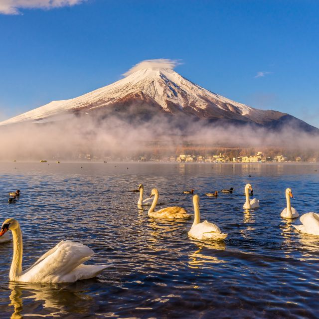From Tokyo: Mount Fuji and Hakone Private Day Trip - Customer Reviews