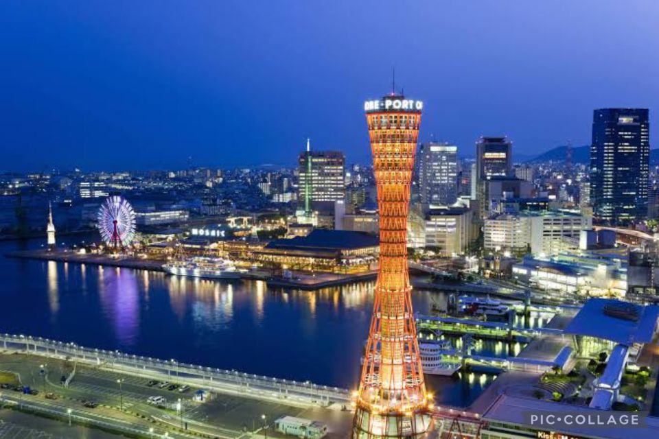 Private:Full Day Kobe City Tour W/Hotel Pickup - Optional Activities