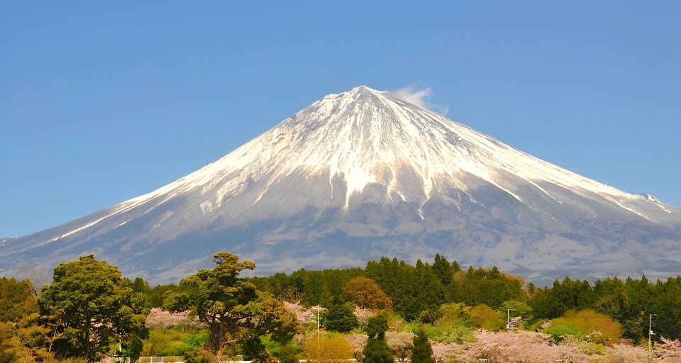 Private Full-Day Tour From Tokyo to Mount Fuji and Hakone - Just The Basics