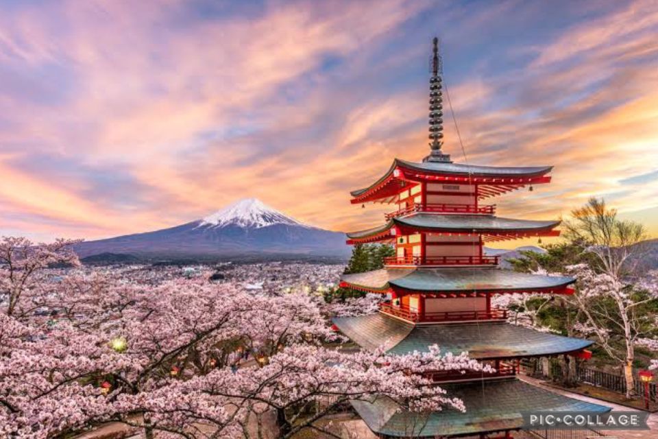 From Tokyo/Hakone/Fuji: Hakone & Mt. Fuji Day Trip W/Pickup - Reservation Details