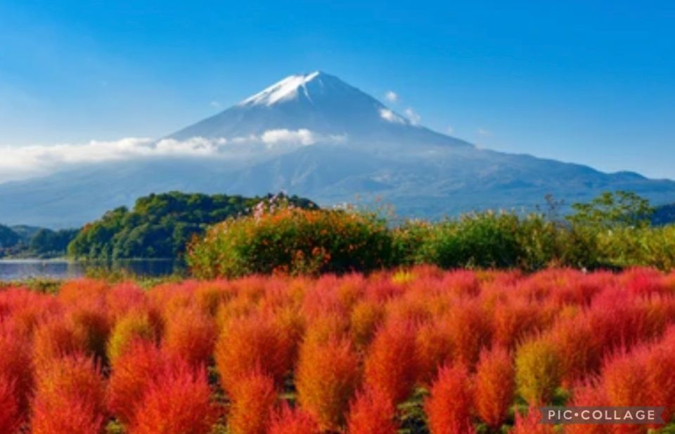 From Tokyo/Hakone/Fuji: Hakone & Mt. Fuji Day Trip W/Pickup - Accessibility Information