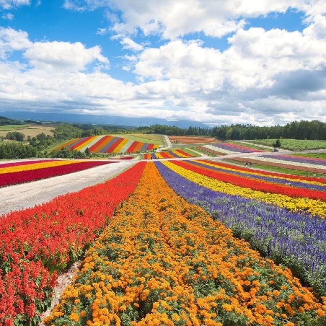Hokkaido: Biei Blue Pond and Furano Flower Farm Day Trip - Complete Itinerary Overview