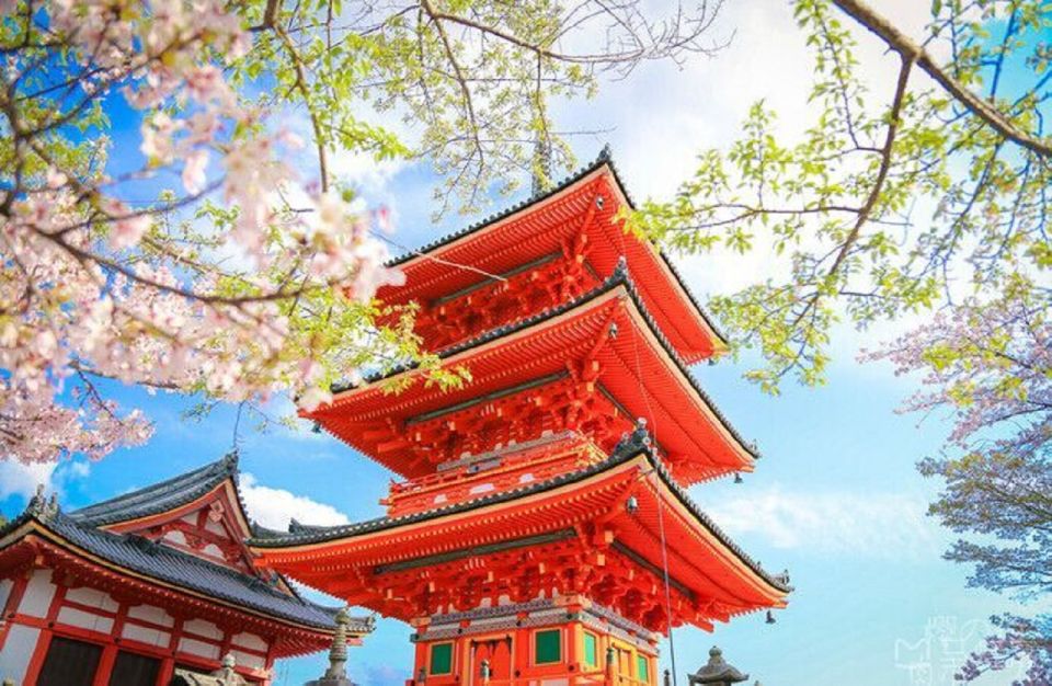 From Kyoto/Osaka: Kyoto and Nara Guided 1-Day Trip - Trip Details