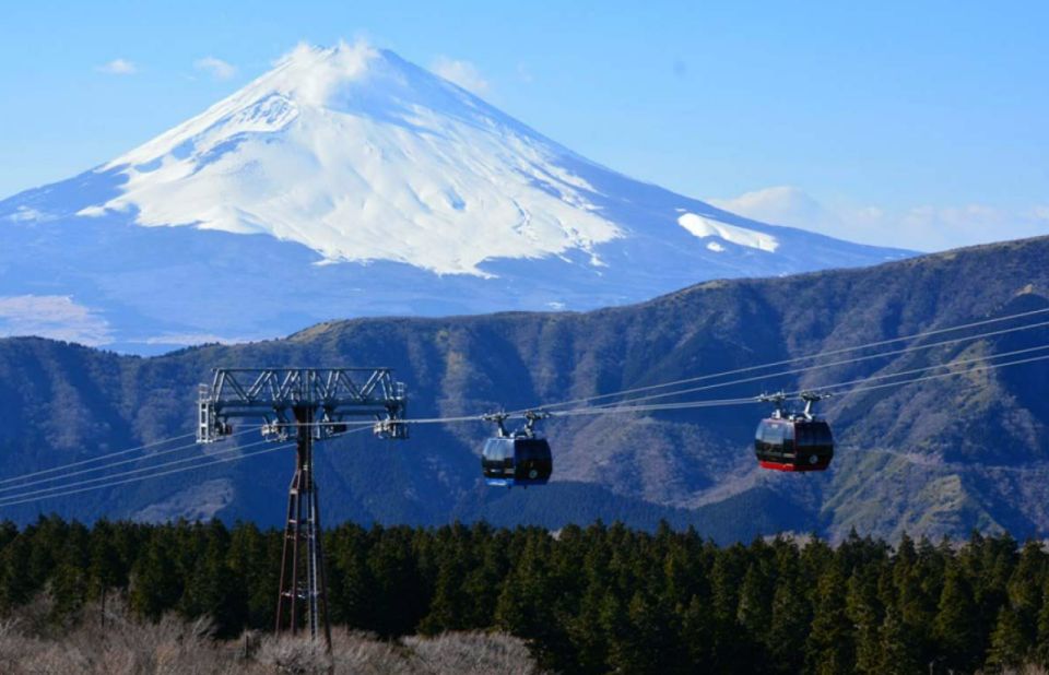 Hakone: 10-hour Customizable Private Tour - Just The Basics