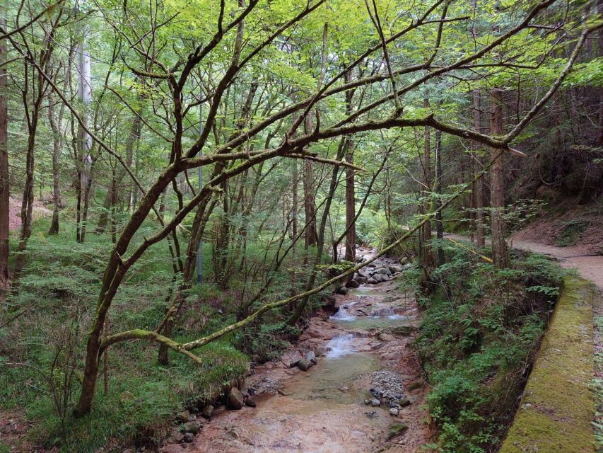 From Matsumoto/Nagano: Nakasendo Trail Walking Tour - Inclusions