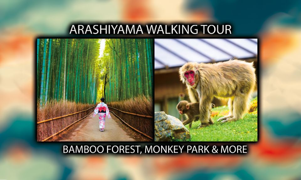 Arashiyama Kyoto: Bamboo Forest, Monkey Park & Secrets - Meeting Point Information
