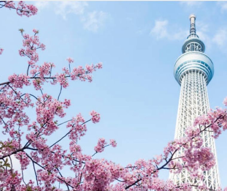 1 Day Tokyo Tour: Customizable (Up-To 6 Persons) - Just The Basics