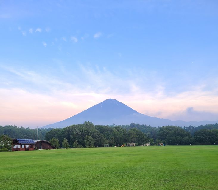 Fujikawaguchiko: Guided Highlights Tour With Mt. Fuji Views - Review Summary