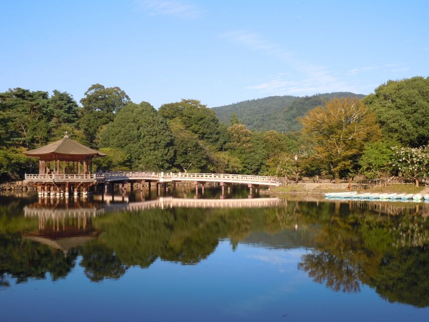 Nara: Todai-ji and Nara Park (Spanish Guide) - Itinerary Details