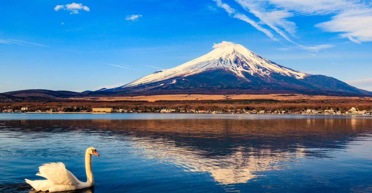 1-Day Trip: Mt Fuji Kawaguchi Lake Area - Activity Highlights