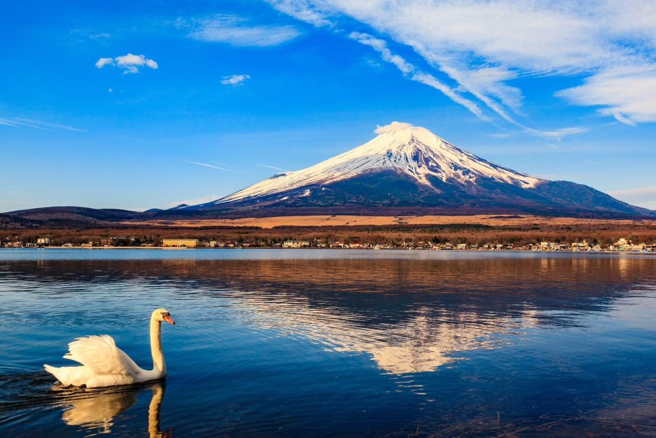 1-Day Trip: Mt Fuji Kawaguchi Lake Area - Booking Information