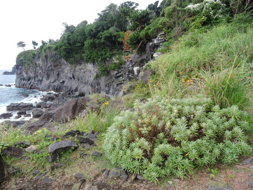 Izu Peninsula: Jogasaki Coast Experience - Diverse Flora and Fauna Exploration