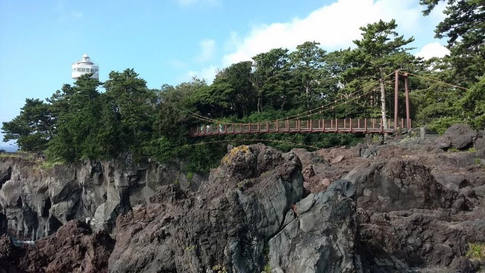 Izu Peninsula: Jogasaki Coast Experience - Just The Basics